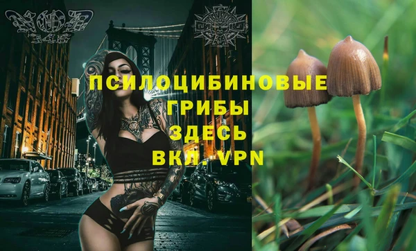не бодяженный Абдулино
